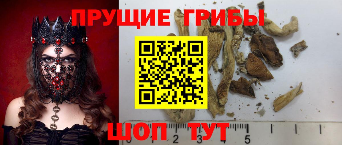 Псилоцибиновые грибы MAGIC MUSHROOMS Сердобск