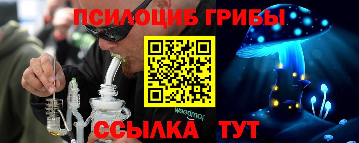 Галлюциногенные грибы Psilocybe  Вход с VPN  Сердобск  Псилоцибиновые грибы мицелий 